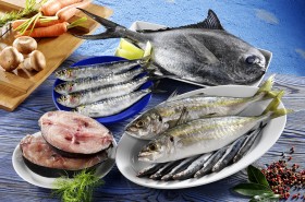 Mit kell tudnunk az omega zsírsavakról?