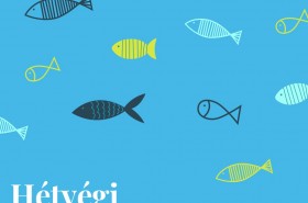 Itt van az ősz, itt van újra, “Kapj rá!” te is hétvégén a halra!